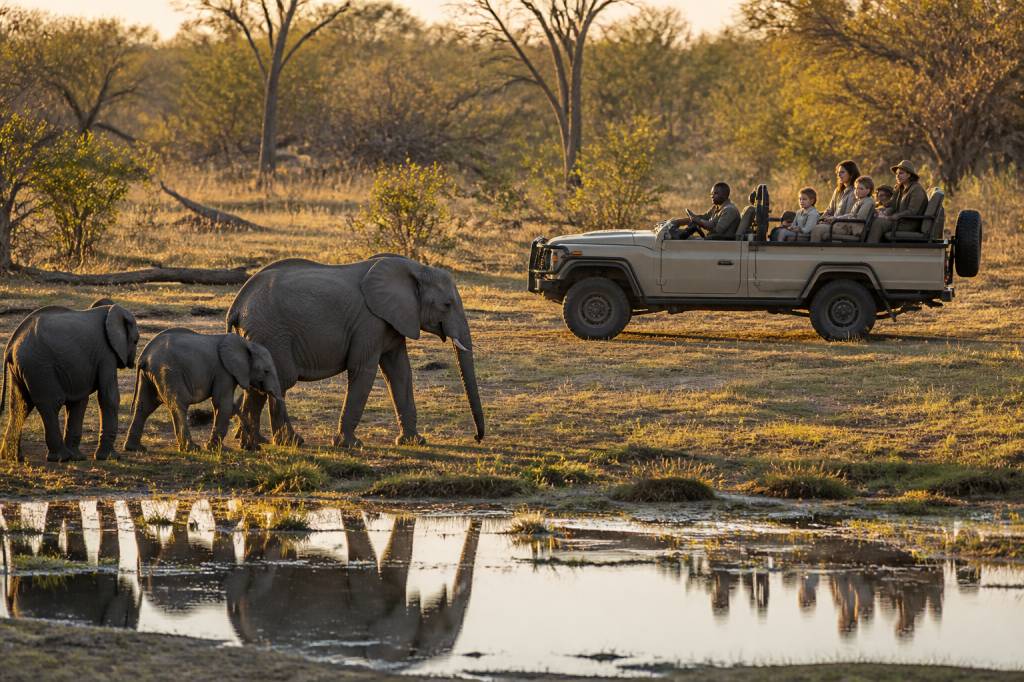Voyage famille Botswana : comment réussir un safari sur mesure avec Hors Pistes afrique australe